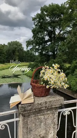 hello spring 