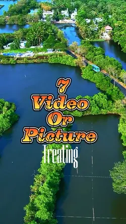 7 video or picture 