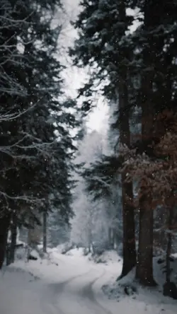 snow fall
