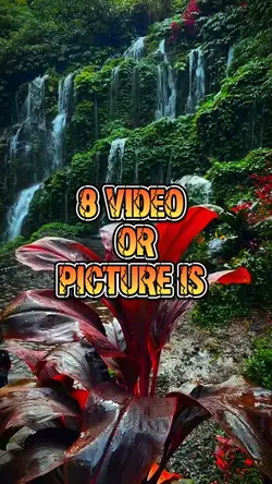 8 video new template
