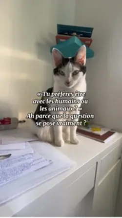 Les animaux >>>>
