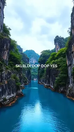 SKLBLDI DOP 
DOP YES
