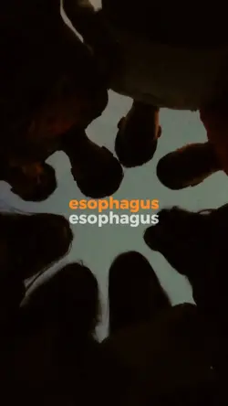 esophagus cinematic