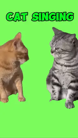 Cat singing