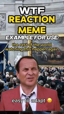 wtf reaction meme 