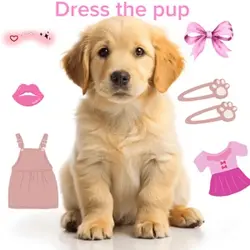 Dress the pup