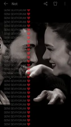 Seni seviyorum 