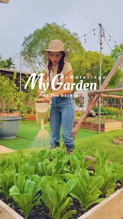 Backyard garden