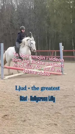 Passar med ljud