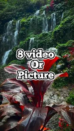 8 video new template