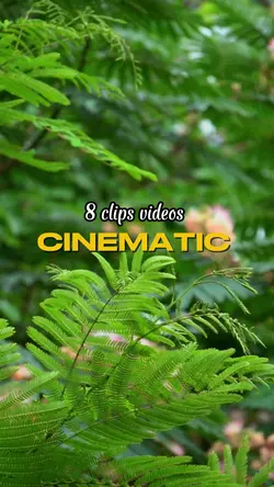 cinematic 8 clips 