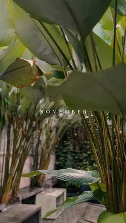 November