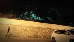 ترند السيارة