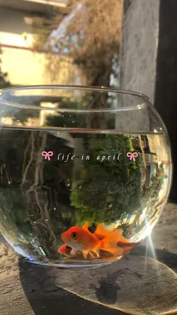 life in april 