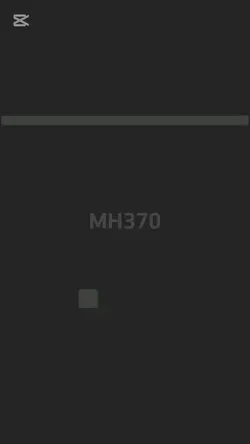 MH370