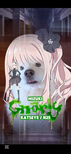 GNARLY MIZUKI N25