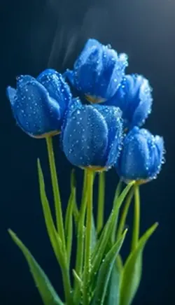 Welcome April