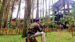 berlayar t bertepian