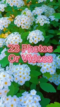 23 Photo Slides