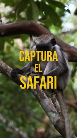 CAPTURA EL