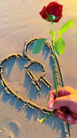 4 Videos | Photos 