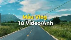 Travel Trip 