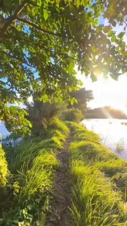 Green Nature.
