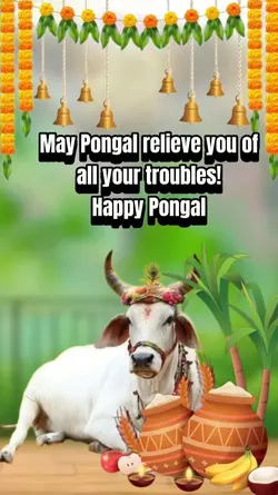 HAPPY PONGAL 