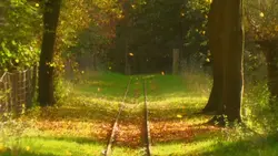 beautiful scenery 