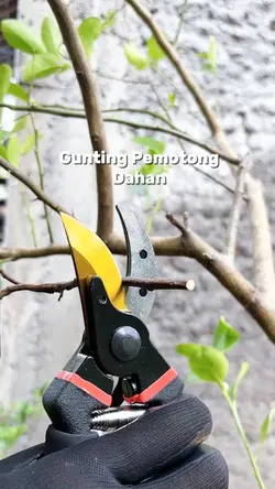 Gunting Dahan