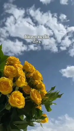 Dünya nedir?