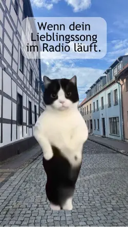 Radio Katze Meme