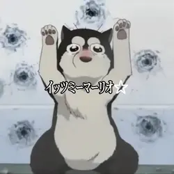 ｲｯﾂﾐｰﾏｰﾘｵ☆