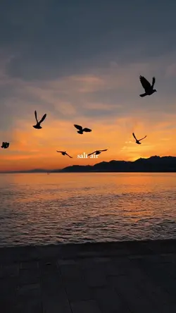 salt air