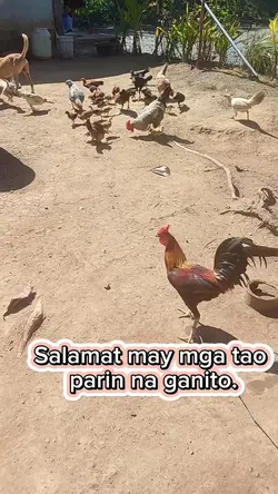 bukid life