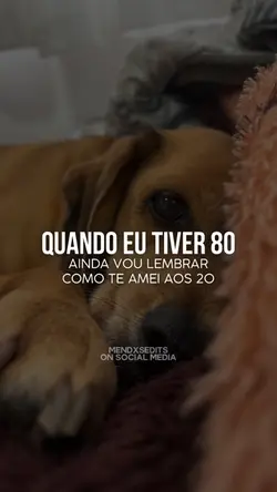 ainda vou lembrar 🐾💛