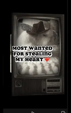 America most wanted 