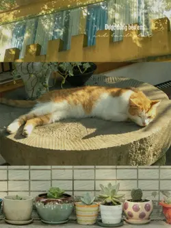 MẪU CHILL 3 ẢNH