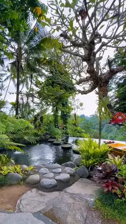 3 video aesthetic hd