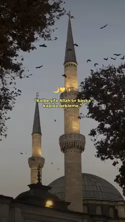 Kalbe şifa...