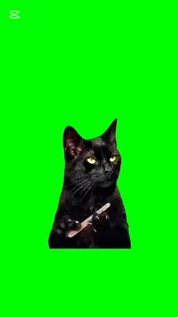 Cat filing nails