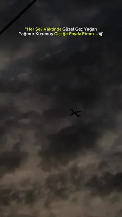 Yeni şablon 