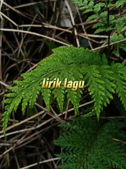 lirik lagu
