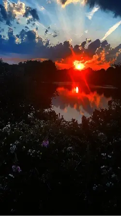 Nature 