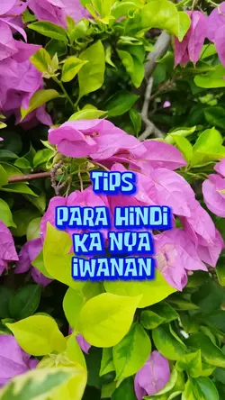 Para hindi ka iwan