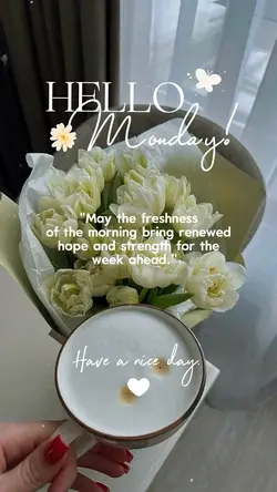 Hello Monday 🌼