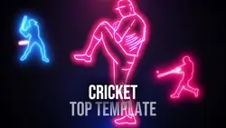 Cricket Intro Top