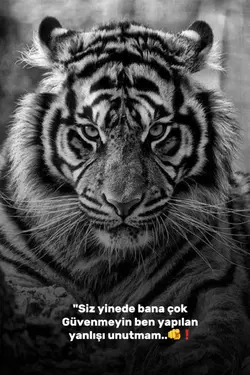Aslan 