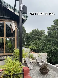 Nature Bliss
