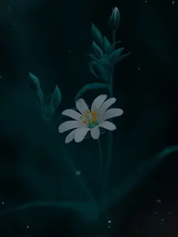 najmul edit